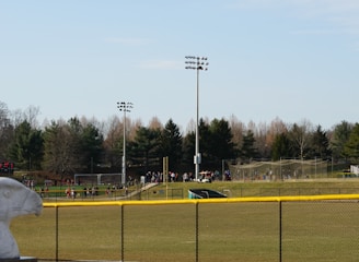 A sports field with a group of people engaging in athletic activities in the background. There is sports equipment like a soccer goal and a scoreboard visible. A chain-link fence runs across the foreground, and a statue or sculpture resembling an eagle is also seen. Trees and tall floodlights are positioned behind the field.