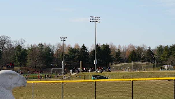 A sports field with a group of people engaging in athletic activities in the background. There is sports equipment like a soccer goal and a scoreboard visible. A chain-link fence runs across the foreground, and a statue or sculpture resembling an eagle is also seen. Trees and tall floodlights are positioned behind the field.